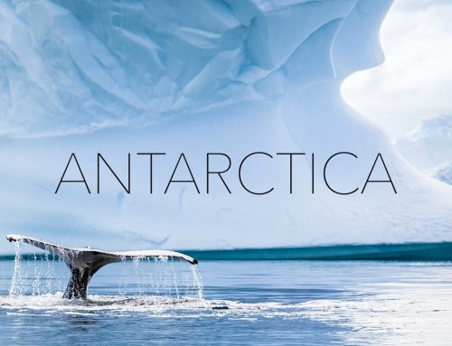 Antarctica by Kalle Ljung