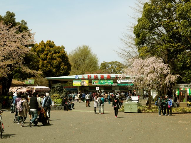 Ueno Zoo